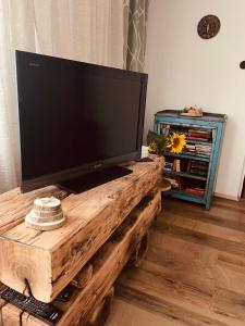 TV a/nebo společenská místnost v ubytování Veselá Chaloupka