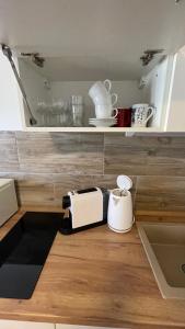 Kuchyň nebo kuchyňský kout v ubytování Dům nad Jezerem - apartmán III