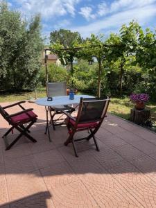 Zahrada ubytování Chalet Mimosa