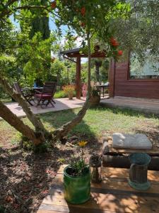 Zahrada ubytování Chalet Mimosa