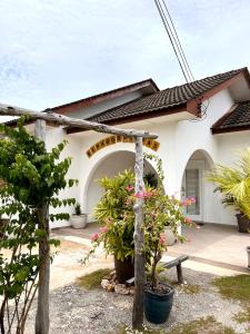a house with potted plants in front of it at Beach Cottage Homestay Kemaman - Berado D Pampass in Kemaman