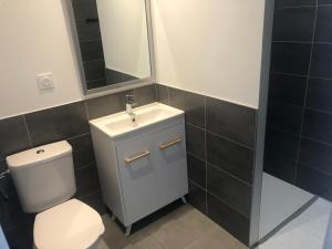 a bathroom with a toilet and a sink and a mirror at Appartement au cœur de la Savoie in Saint-Jean-de-la-Porte