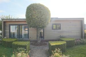 Un jardín fuera de Tinyhouse