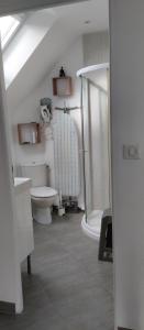 a bathroom with a toilet and a shower at La grange du Manemeur in Quiberon