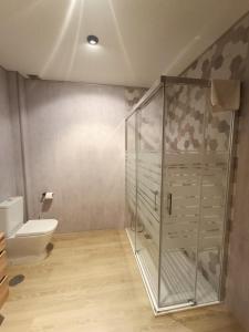 a bathroom with a toilet and a glass shower at Casa Alda in Cabezuela +25 photos