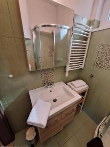 Koupelna v ubytování Erdőszéli Apartman + 17 fotografií