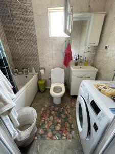 y baño con aseo, lavabo y lavadora. en The Little Green House, en Petrovec