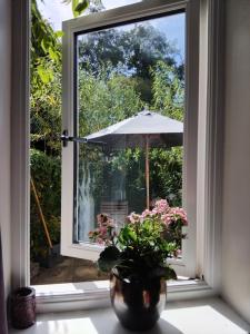 a vase with flowers in a window with an umbrella at Llety'r Post in Crickhowell