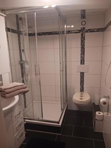 a bathroom with a shower with a toilet and a sink at Moderne Wohnung in ruhiger Lage in Stolberg