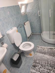 a bathroom with a toilet and a sink and a shower at Casa Luminita in Brezoi
