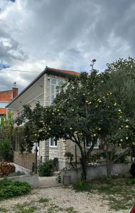 Taman di luar Villa Jadran Zadar free parking sea view