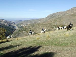 Animales en la casa o chalet o alrededores
