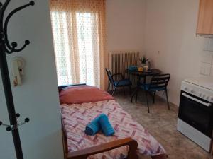 Η κουζίνα ή μικρή κουζίνα στο John's Kalabaka House