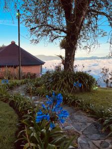 Φυσικό τοπίο κοντά σε αυτό το σαλέ