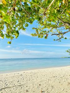 a beach with the ocean in the background at YUVi Blue Guesthouse at Himmafushi in Himmafushi +20 photos