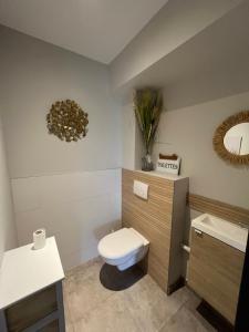 a bathroom with a toilet and a sink at Gites de Landuzière in Étrat +7 photos