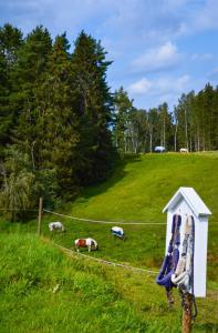 Naturlandskap nära semesterhuset