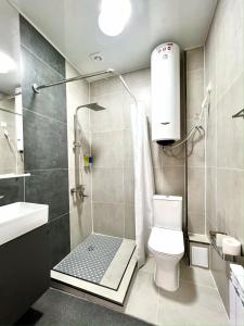 卡拉科尔Suncor Hotel的带淋浴、马桶和水槽的浴室