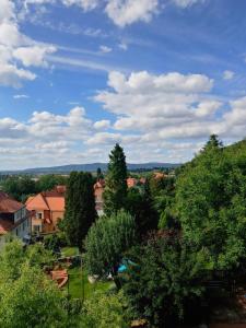 - une vue sur une ville avec des arbres et des maisons dans l'établissement Ferienwohnung Richter, à Pirna
