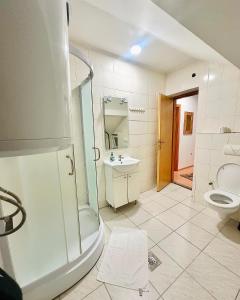 Un baño con ducha, inodoro y lavabo. en Apartment Collina, en Mostar 29 fotos más