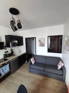 un soggiorno con divano e cucina di Au bord du loir a Cloyes-sur-le-Loir