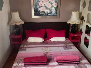 a bedroom with a bed with red pillows and two lamps at T2 cœur de ville La Londe-Les-Maures in La Londe-les-Maures