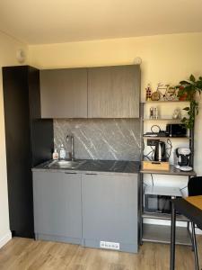 LancéにあるTiny houseのキッチン(シンク、カウンタートップ付)