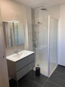 a bathroom with a sink and a shower at La Magie entre deux lacs in Gérardmer +23 photos