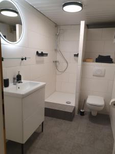 a bathroom with a sink and a shower and a toilet at Föhrzeit - Wohnung 4 Besonderes Apartment mit Garten in Borgsum +2 photos