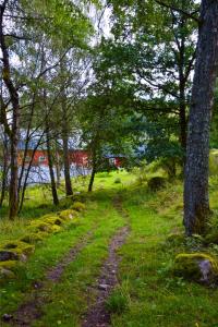 Naturlandskap nära semesterhuset