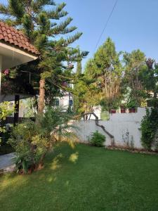 a tree in a yard next to a white fence at Green Residency, Eco-Friendly Guestrooms available for Families near Islamabad and Murree in Islamabad