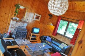 Swaens في Heure: غرفة معيشة مع أريكة ومدفأة