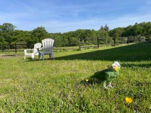 Vonkajšia záhrada v ubytovaní Gîte à la campagne Les Grandes Maisons Espace jacuzzi hammam SPA