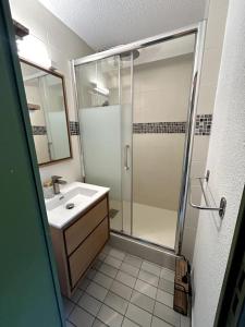 une salle de bain avec douche et lavabo dans l'établissement Le Baronnie F2 calme proche mer, au Grau-du-Roi