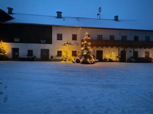 a christmas tree in the courtyard of a building at Kalbhof in Breitbrunn am Chiemsee