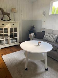 En sittgrupp på Ljungaviken