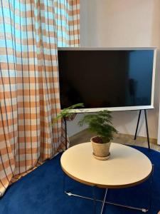 une télévision et une table avec une plante en pot dessus dans l'établissement Hannah Stay, à Séoul