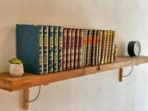 Knihovna v apartmánu