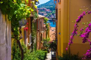 a view of a street with purple flowers in a town at Appart T3, quartier calme , idéal tout à pieds parking privé Résidence Cadenisse in Collioure