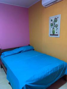 una camera da letto con un letto e un quadro sul muro di Hostal Don Oscar a Miguel de la Borda