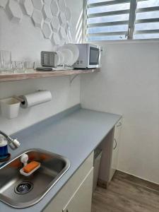 Кухня или кухненски бокс в Relaxing Studio Near El Yunque With Pool View