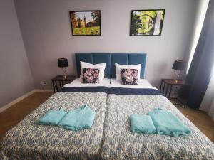 a bedroom with a bed with two pillows on it at Under the Hill plus in Bad Muskau +14 photos
