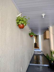 two potted plants on a wall in a hallway at Residencial Carvalho AP 1 in Torto