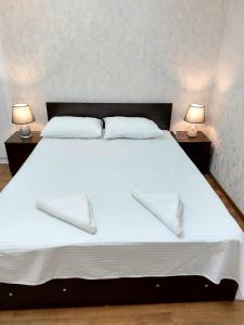 Un dormitorio con una gran cama blanca con dos lámparas. en Dodo-Inga's Apartment, en Tiflis