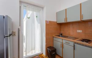 a kitchen with a window and a sink and a refrigerator at 1 Bedroom Lovely Apartment In Jurandvor in Jurandvor