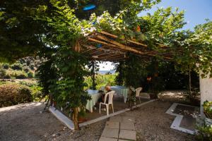 Vonkajšia záhrada v ubytovaní Villa Anneta