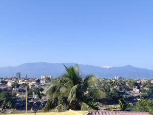 a palm tree in front of a city at Phoenix Lodge in Siliguri