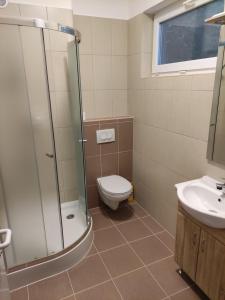 a bathroom with a shower and a toilet and a sink at Szőlő Vendégház Balatongyörök in Balatongyörök