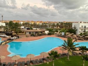 Πισίνα στο ή κοντά στο T1 Resort & Spa Apartamento Ilha do Sal Santa Maria