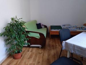 a room with a couch and a chair and a plant at Cruz Mieszkanie Pokoje Centrum przytulny czysty lokal na noc in Łódź